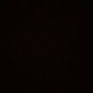 Meet your Posher, Molly